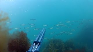 Подводная охота Черное Море 17.04.2014