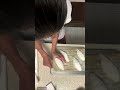 アルーチオンラインライブ配信紹介動画