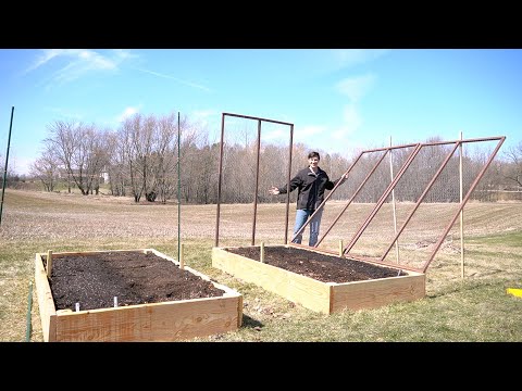 Video: We Make Trellises For Cucumbers And Tomatoes