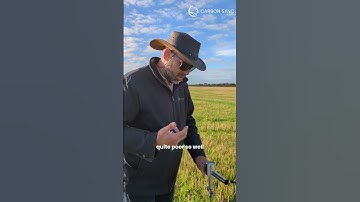 Using a Penetrometer to measure soil density in Western Australia #carbonsync