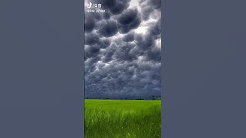 Thumbnail of The Weather of Love | Cloudy and Greenery | #youtubeshorts #viral #tiktok #relaxing #love #weather