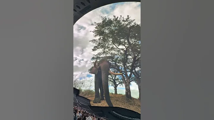 360 cinema in Las Vegas Nevada . Я в шоке самый большой кинотеатр 🤯😱 #lasvegas #usa #cinema360