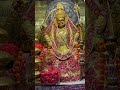 Chaitra navratra 2024 special  shri santoshi mata mandir hari nagar delhi darshan