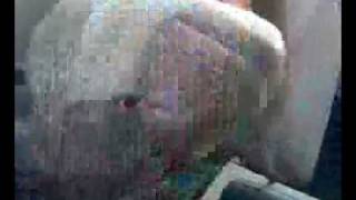 PESCA barca TONI-DORADAS COSTA DE AZAHAR