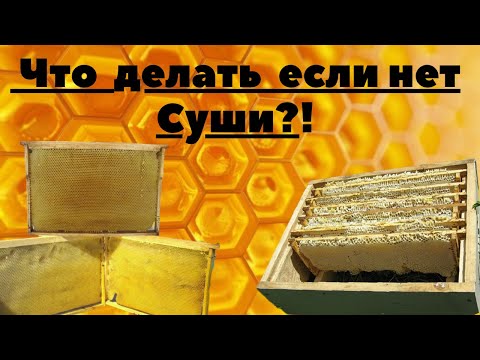 Быстрая отстройка вощины пчёлами!?