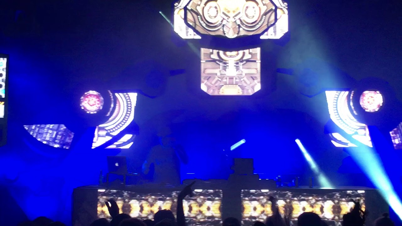 Dr Peacock - Dream Nation 2016