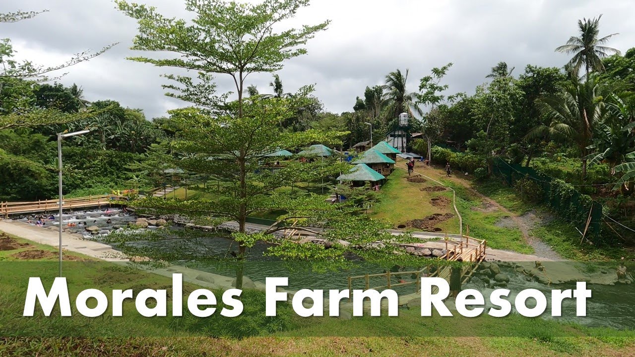 Morales Resort in Calauan, Laguna Pineapple Farm + Kayaking Farm