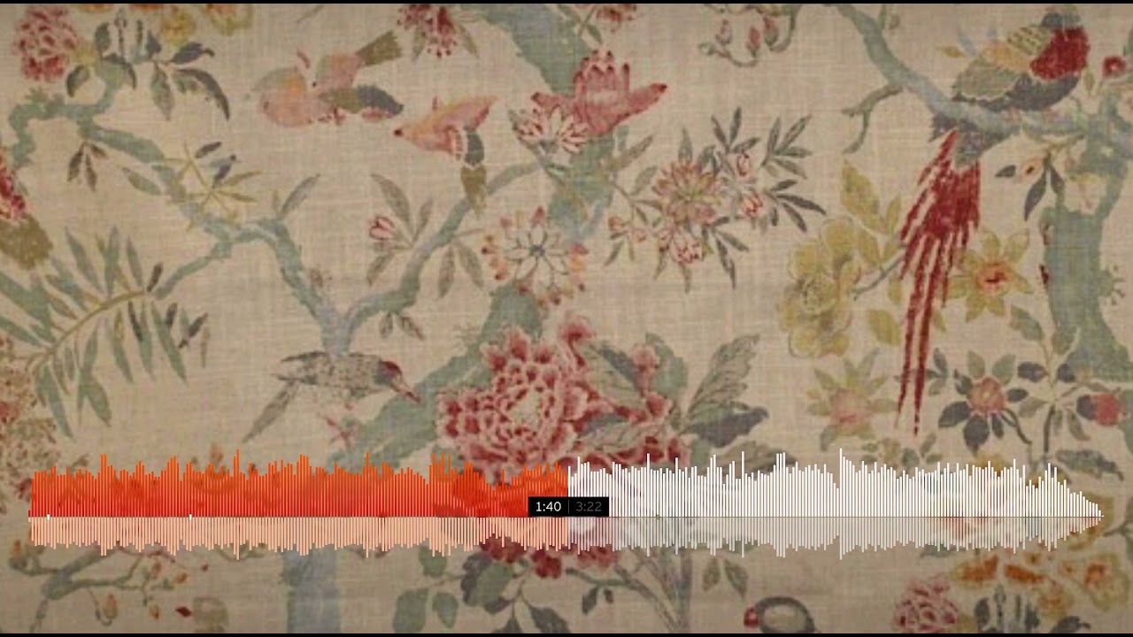 Zach Bryan Steel Magnolia YouTube