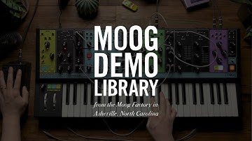 EP-3 Expression Pedal | Stereo Filter Modulation