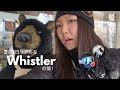 リアルなWhistlerの旅Vlog🐻❄️/현실감 미친 휘슬러 여행vlog/ Too Real: Whistler trip