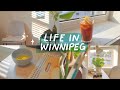 Summer in Winnipeg, MB 🌤️ Painting Food 🥐 Daily Life Silent Vlog