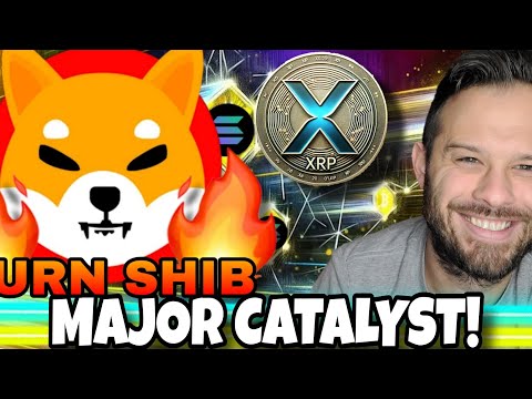 Shiba Inu Coin Shiba Inu Coin