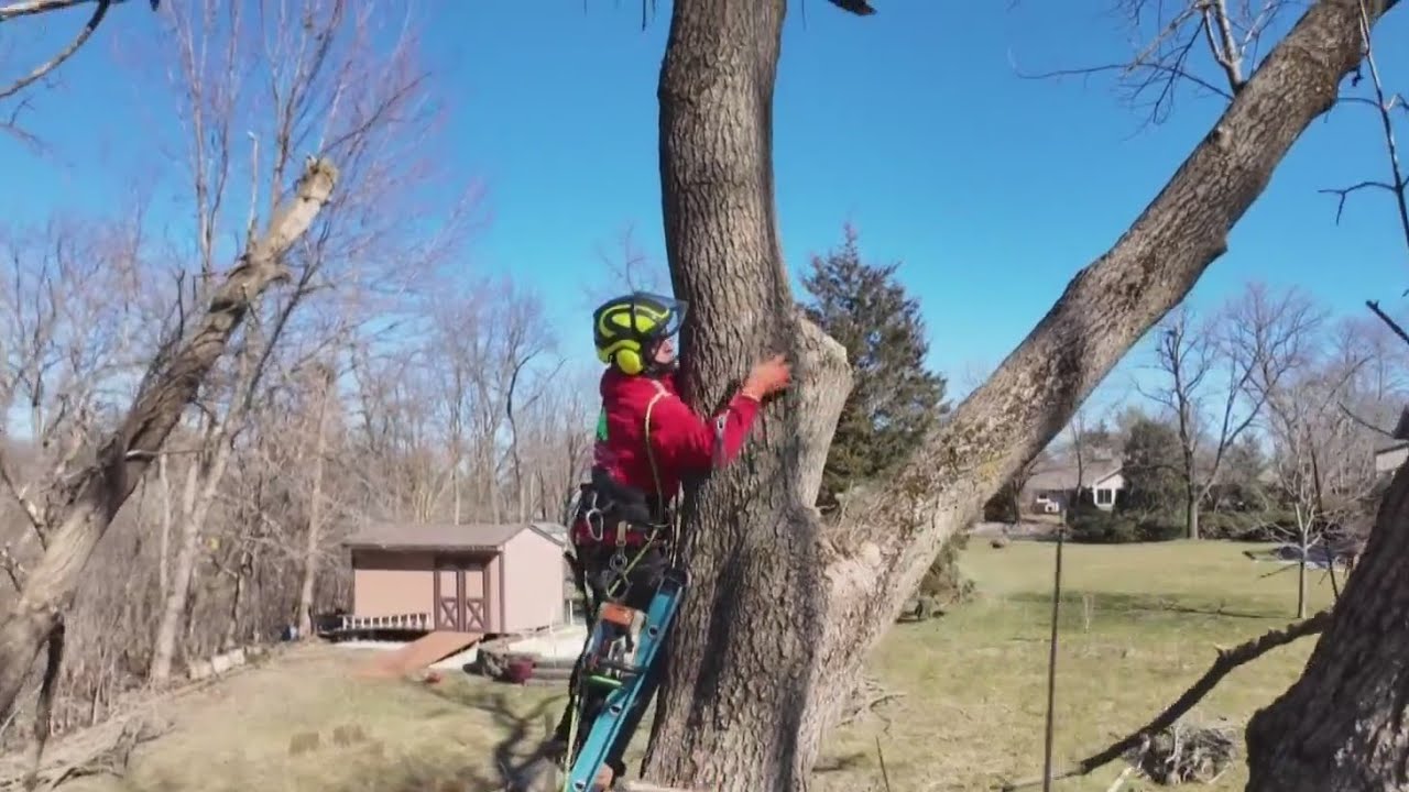 Days of cleanup after tornados rip through Chicago suburbs - YouTube