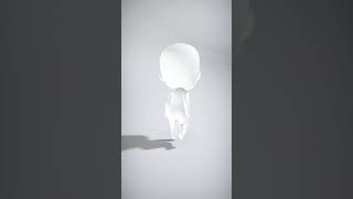 Stylized Cartoon Character with Simple Features - AI Rigged 3D Character