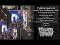 Pyphomgertum – Gorific Carnal Confessions | Releases | Discogs