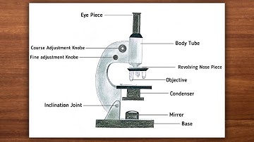 How to Draw Compound of Microscope Step by Step | Microscope Drawing Easily