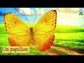 تعليم الفرنسية للمبتدئيين..الحشرات..Les insectes