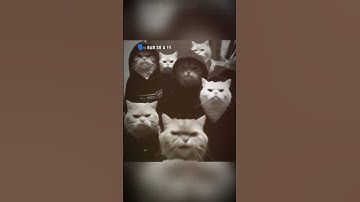 🔥BẠN SỢ À !!!#CapCut #kvanvuong #trending #slow #slowmotion #xuhuong