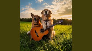 Strings for Canine Rest