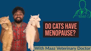 Do Cats have Menopause ? l Do Cats have Periods ? | Do cats Menstruate ? Cats Menstruate