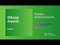 Обзор Aqulas: как сделать мультиссылку в Instagram бесплатно