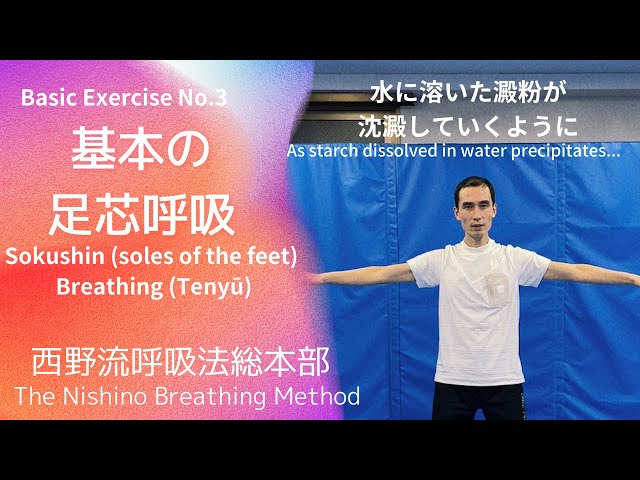 Sokushin (soles of the feet) Breathing Exercise (Tenyu) - YouTube