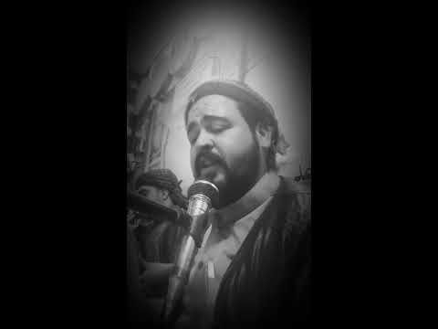 مديح حربي بصوت المداح أحمد أبو محمد في تكيه الشيخ باسم ابو ثروت