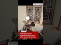 Motorcycle with an unexpected rider!