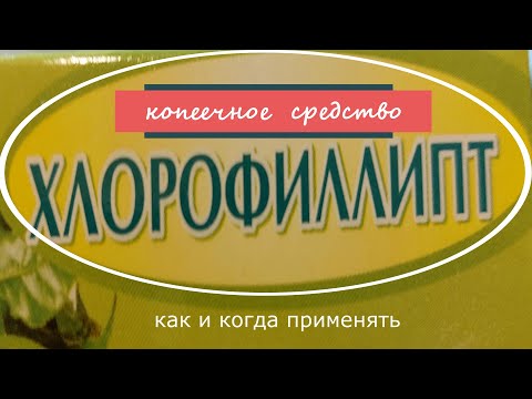 Добрые советы/ Хлорофиллипт - копеечное средство