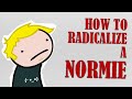 The Alt-Right Playbook: How to Radicalize a Normie
