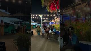 collie budz cover in Fiji 🇫🇯 #reggae #island #love