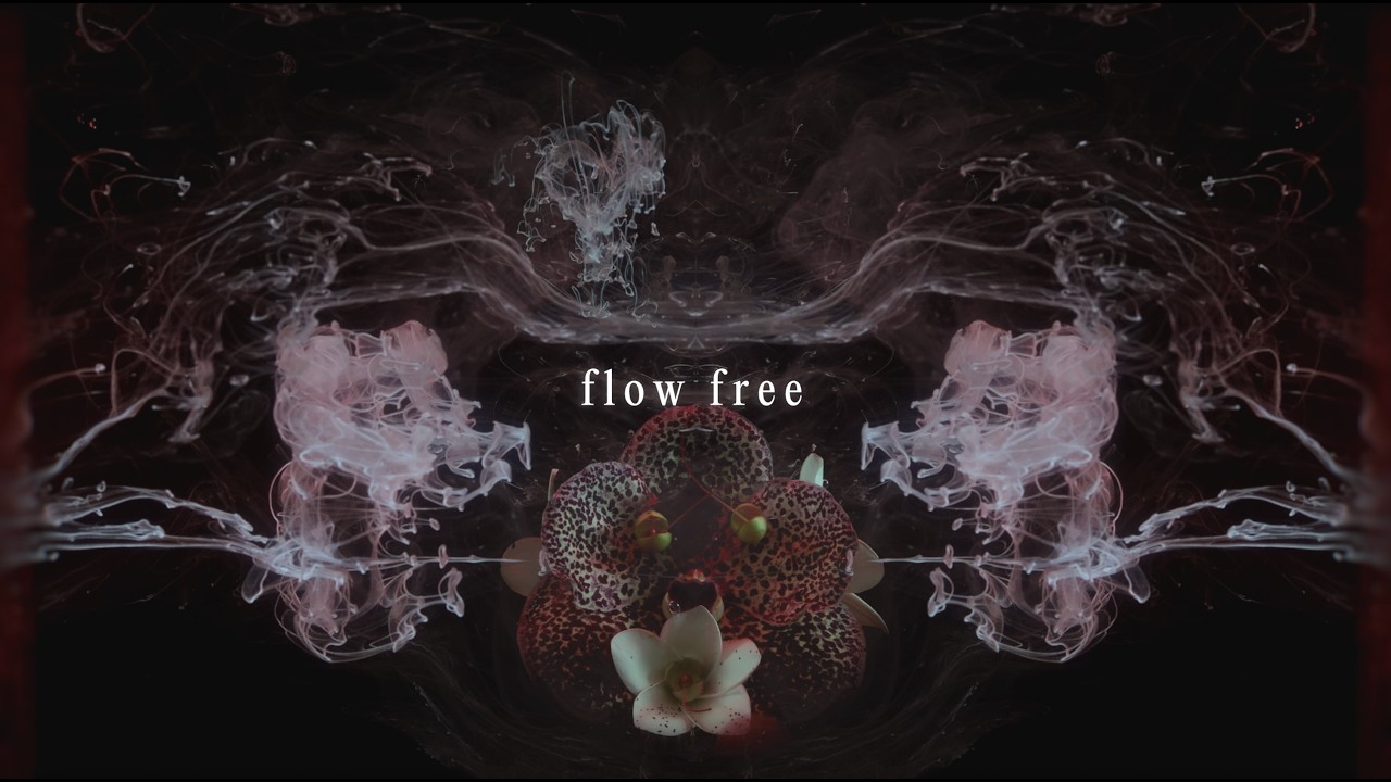 Watch Panama & Christian Löffler - Flow Free (Lyric Visualiser) on YouTube Watch Panama & Christian Löffler - Flow Free (Lyric Visualiser) on YouTube