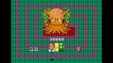 Sel Feena arcade 2 player Netplay 60fps