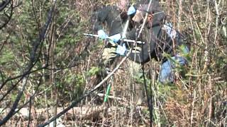 Wolf Capture Immobilization.mpg