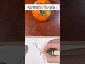 【不可能やろ‥】これが一筆"柿" #shorts