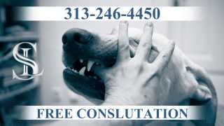 Detroit Dog Bite Lawyer | (313) 438-4357  | Michigan Injury Lawyers