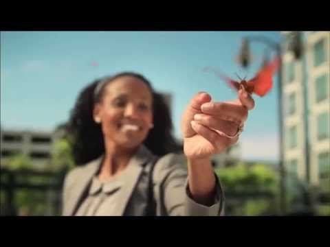 ING Voya Financial National Butterfly Commercial