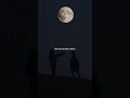 She Looks Just Like Dream Lyrics Edit Audio Sped Up Slowed Trending Shorts Youtubeshorts 