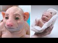 15 Most Bizarre Animals Created by Humans #2