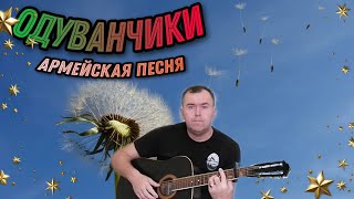 Одуванчики, армейская песня под гитару.