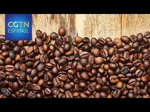Los secretos detrás de uno de los tipos de café más famosos a nivel mundial Los secretos detrás del café de mejor calidad en el mundo