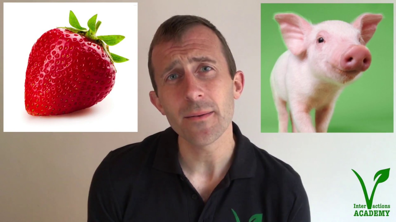 One-liners, Flow, Common Ground, and Shame (Vegan Interactions Academy 3 of 6)