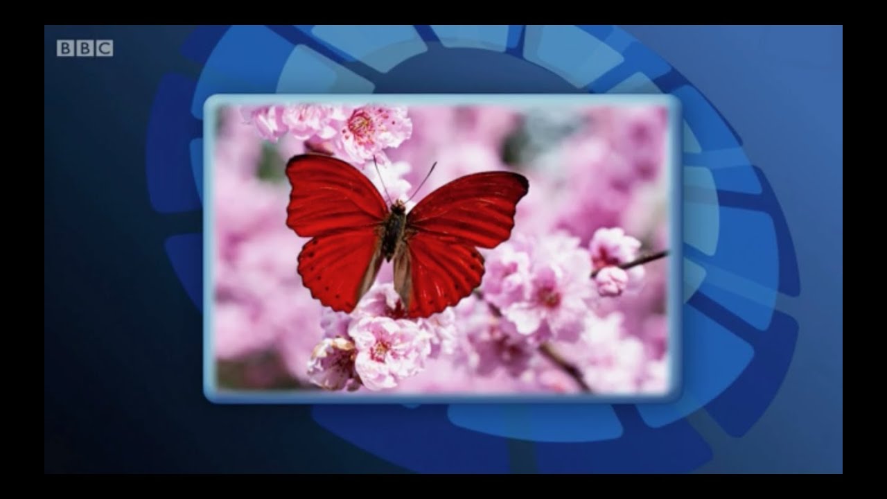 Only Connect - Series 9 - Episode 11