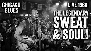 Smooth Delta Blues Guitar Inspired by Masters — Muddy Waters, John Lee Hooker, Howlin’ Wolf
