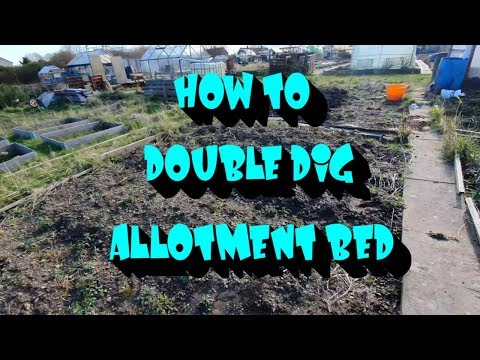 How to double dig allotment beds
