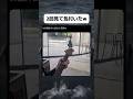 MV撮影中に起きた奇跡の瞬間#おすすめ #おもしろ