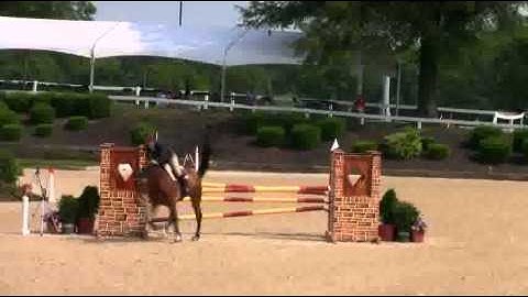 191,_PIZARRO_-_502,_ADULT_AMATEUR_JUMPER_1.07m_II_2b.wmv