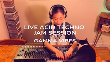 Gamma Vibes - Live Acid Techno Session