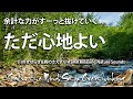 心地よい水の音 新緑の森に響く鳥のさえずり:自立神経を整える、リラクゼーションにご活用ください【ASMR 4K】