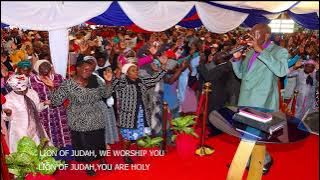 Lion of Judah, we worship You